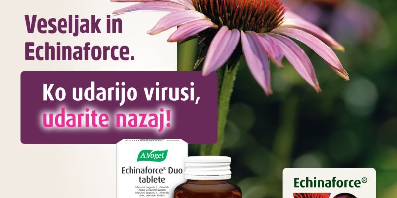 Veseljak in Echinaforce