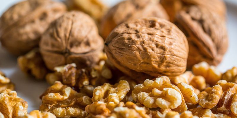 oreh-walnut-2816934.jpg