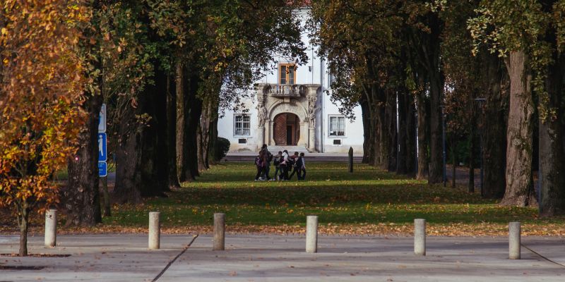 simbolična, park, drevored, jesen, narava, grad, mladi, otroci, vrtec, šolarji