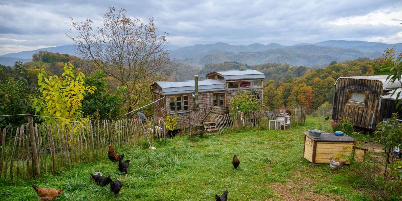 nemka-simone-vetters