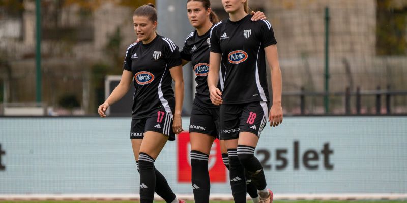 sznl, 12-krog, znk-olimpija-ljubljana, kodeljevo, znk-mura-nona