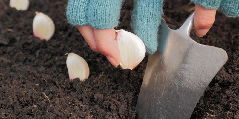 profimedia-0978386509 (1).jpg