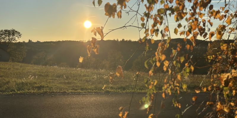 jesen, narava, listje, goričko, november