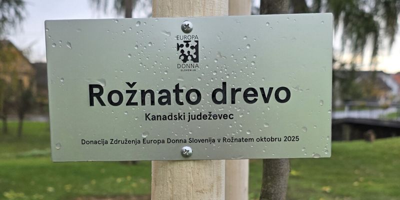 roznato-drevo, roznati-oktober, obcina-kobilje, obcina-tisina