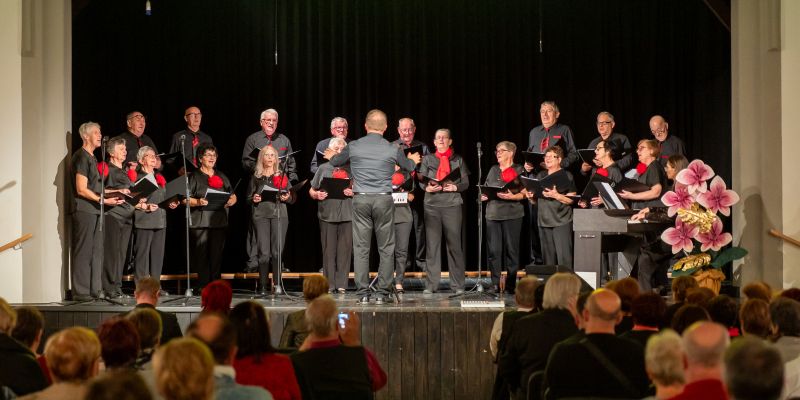 mepz-andrej-marosa, koncert, s-prijatelji-za-prijatelje