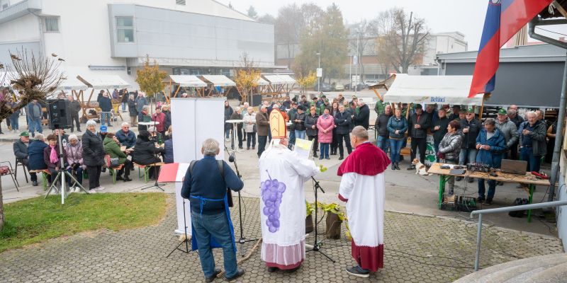 beltinci, vinogradnisko-drustvo-beltinci, martinovanje