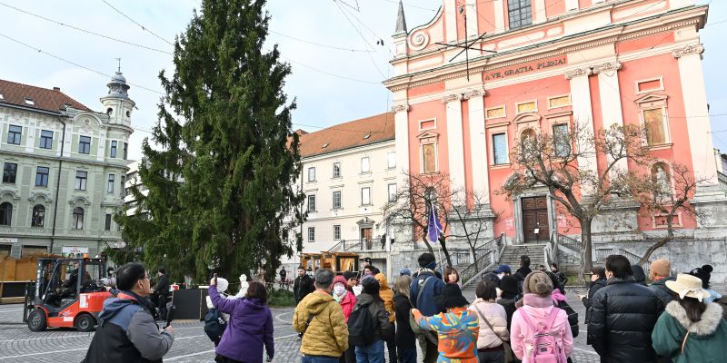 ljubljana-krasenje-stojnice-smreka