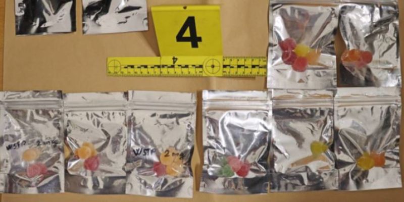 zaseg, ljubljana, droga