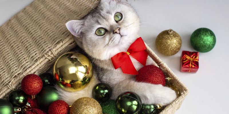 bozic, ljubljencki, dekor-prazniki