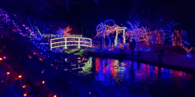 Božična bajka v Mozirskem gaju