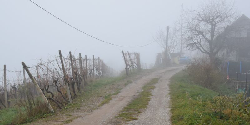 mv-videm cesta 2.JPG