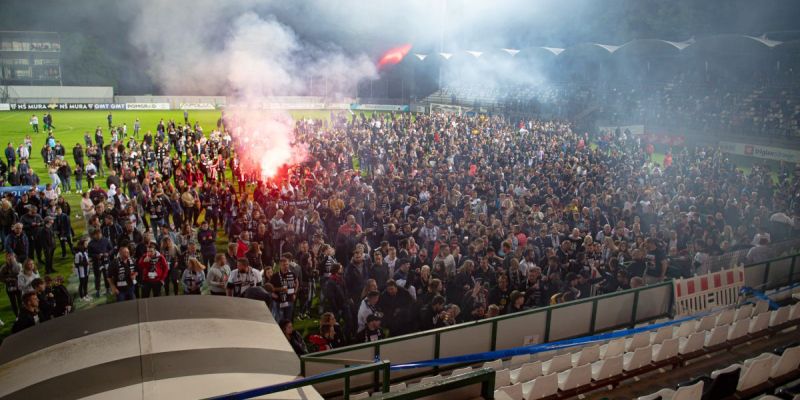 fazanerija slavje.jpeg