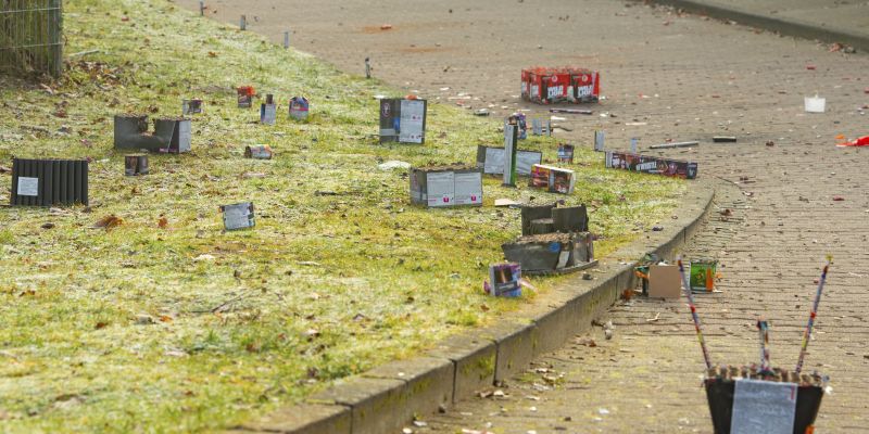 pirotehnika-in-zivali, pirotehnika