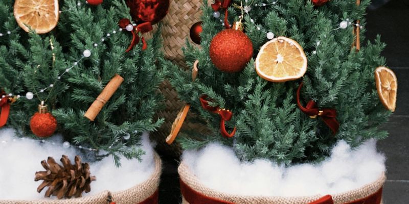 božično-novoletno drevesce v loncu 1