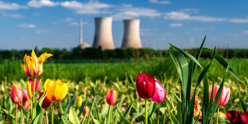 reaktor, jedrski-reaktor