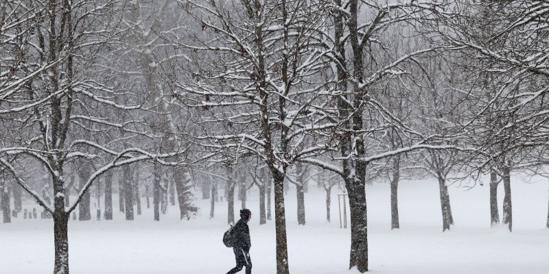 zima, sneg, snezenje