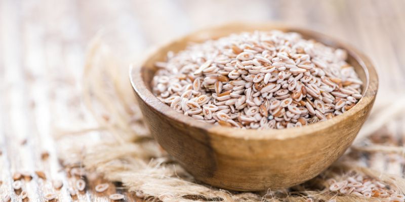 Indijski trpotec, psylium