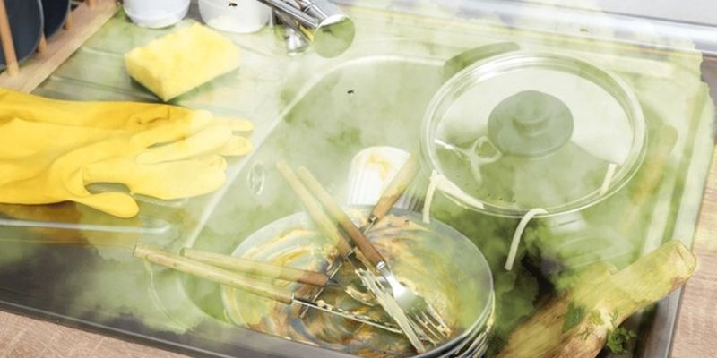 male-komunalne-cistilne-naprave, rjave-alge