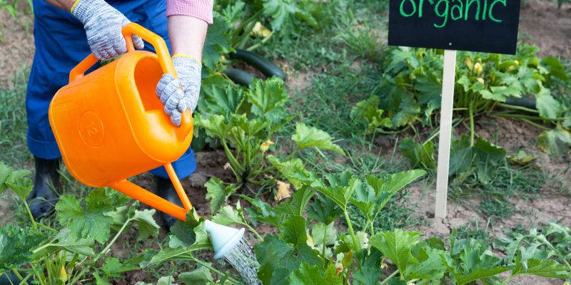 poreklo-hrane, bio-hrana