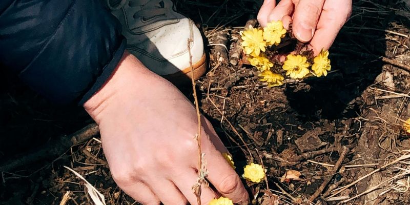 Nabiranje rastlin.jpg