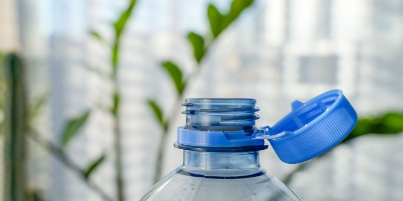 zalivanje-balkonskih-roz