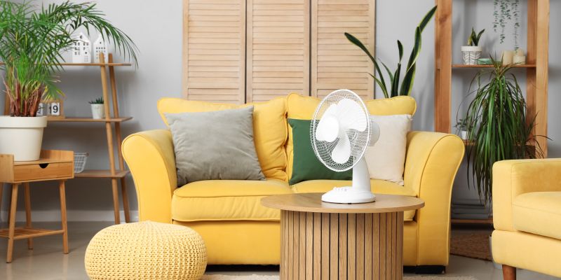 bela-preproga, dnevna-soba