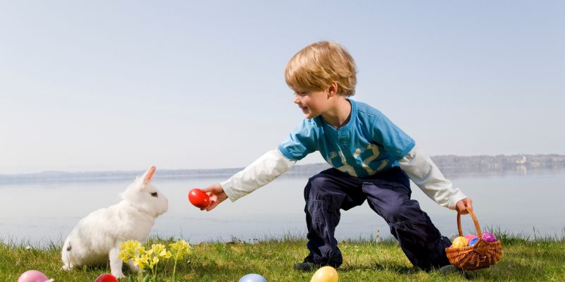 velika noč, zajček, pirhi