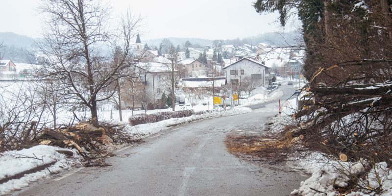goričko, sneg, podrta-drevesa, podrto-drevje, snegolom