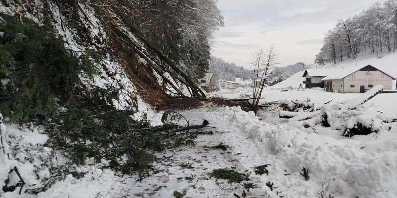 EK_podlehnik snegolom.jpg