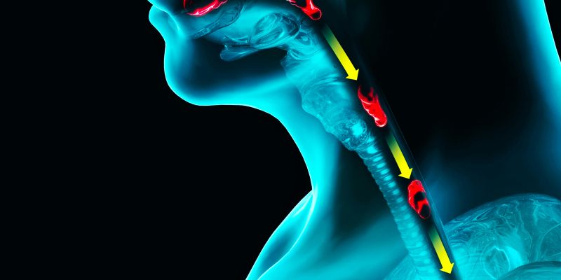 požiranje hrane.jpg