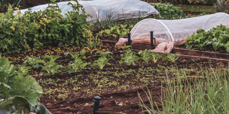 gredice z agrokopreno