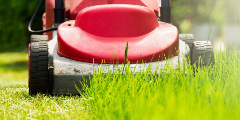 kosnja-trave, kosilnica