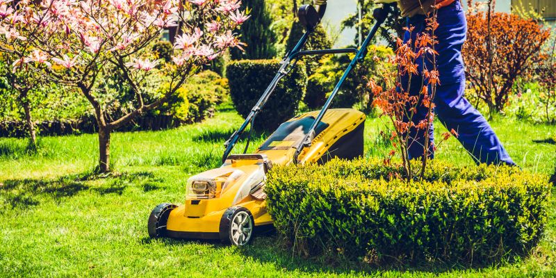 kosnja-trave, kosilnica