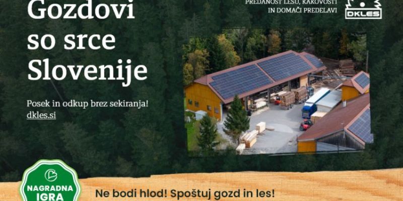 Ne bodi hlod! Spoštuj gozd in les!