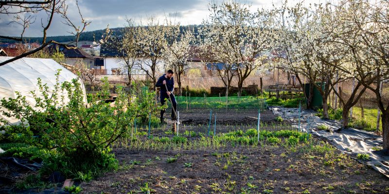zelenjavni vrt pomlad