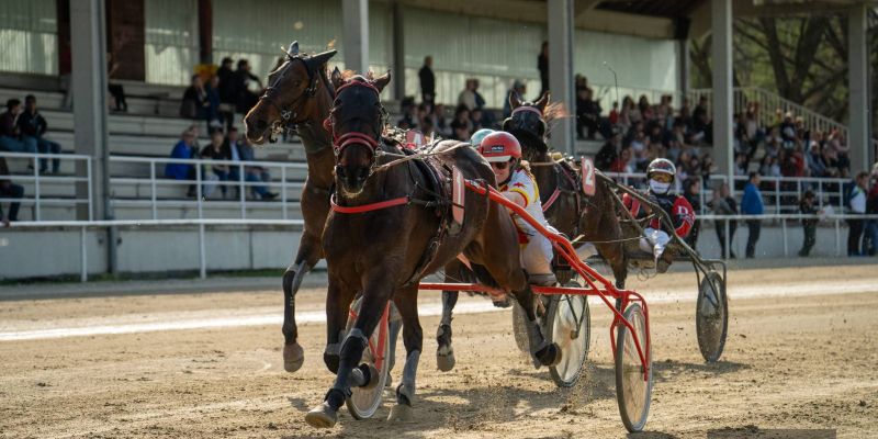 Kasaške dirke, ljutomer, velikonočni ponedeljek 2026