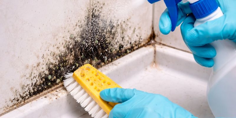 plesen-v-kopalnici, kopalnica