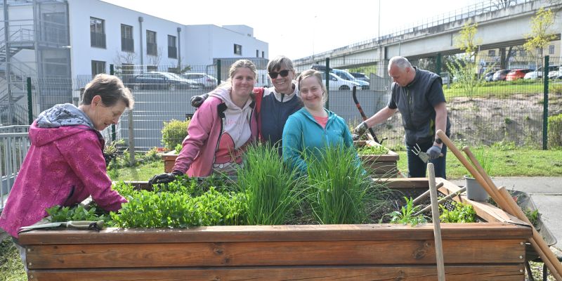 Prostovoljci so skupaj z uporabniki VDC-ja urejali visoke grede.JPG