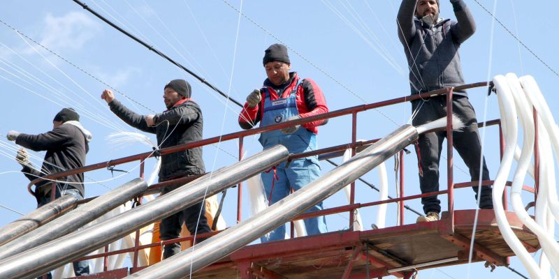 hmelj, delavci, vrvice