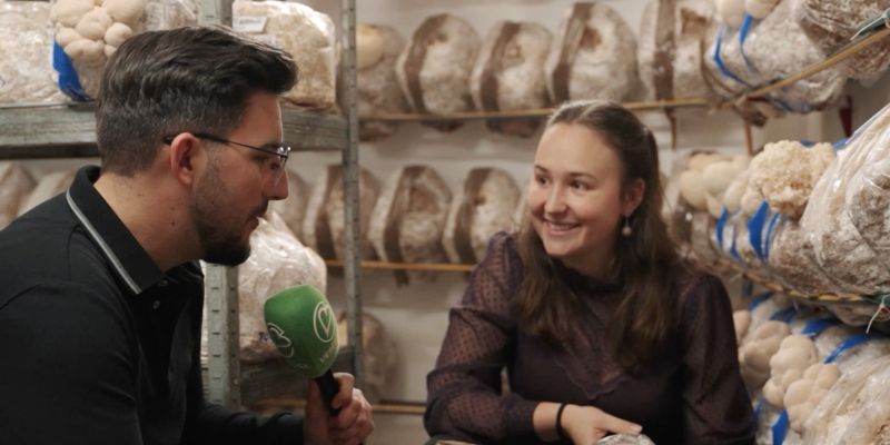 Ko dobre ideje rastejo kot gobe po dežju: nocoj v oddaji Kmetovati je lepo