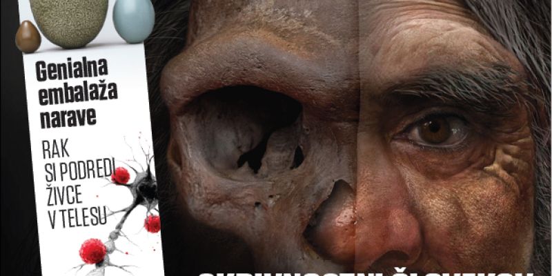 Screenshot 2026-04-21 132949.png