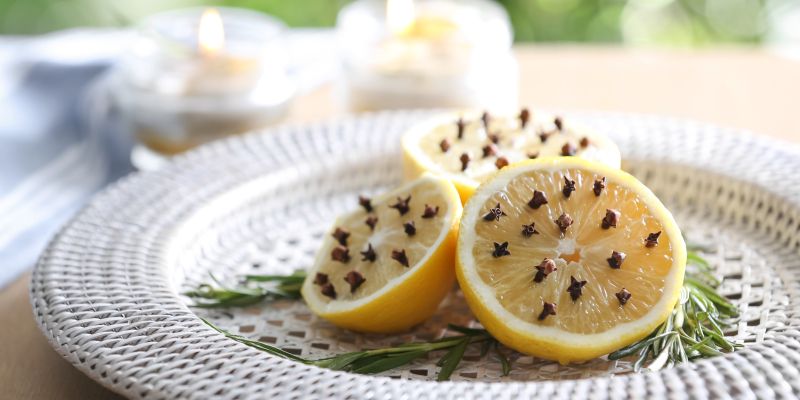 citrusi, limona, komarnik