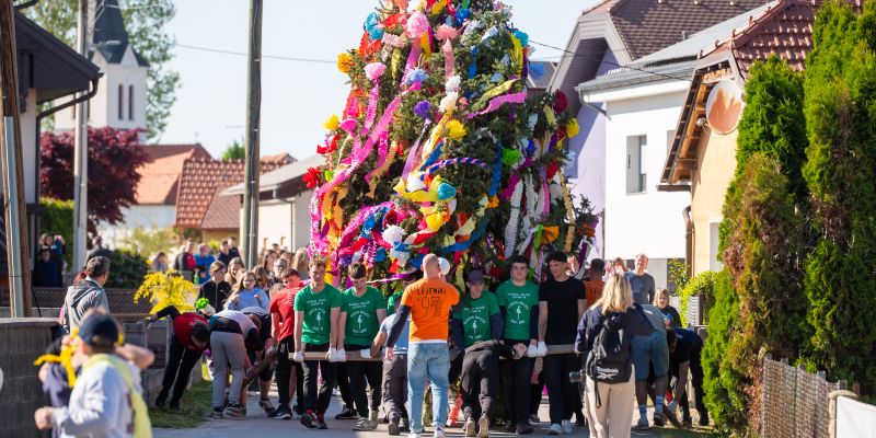 gancki-majos, 107-gancki-majos, gancani, tradicija, mlaj