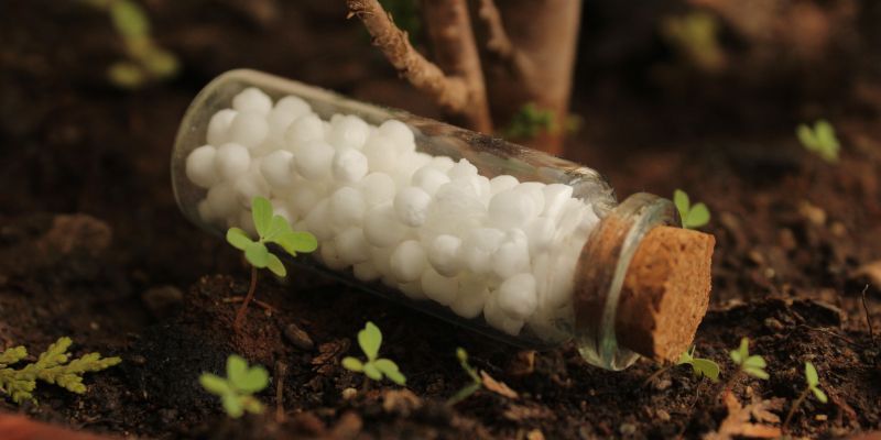 homeopatija in rastline