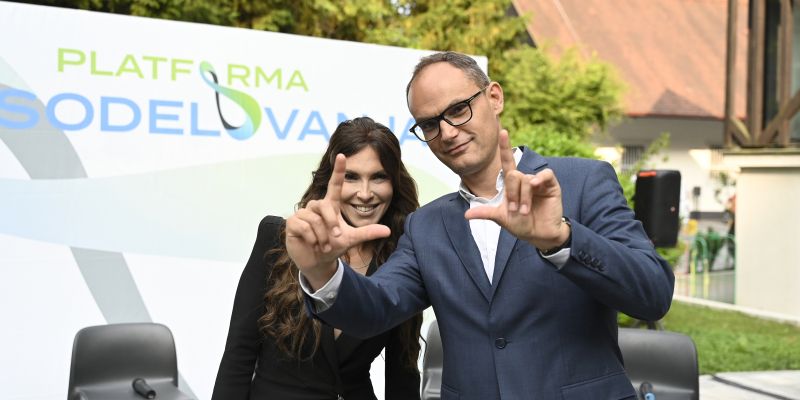 platforma sodelovanja Saso Radej.jpg