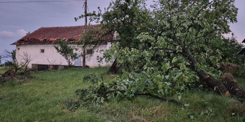 neurje, sveta-ana, odkrite-strehe, podrta-drevesa