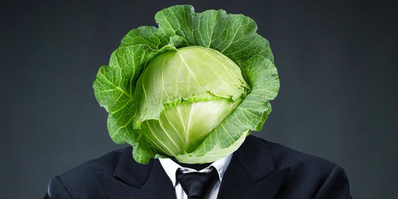 idiokracija naslovna nova.jpg