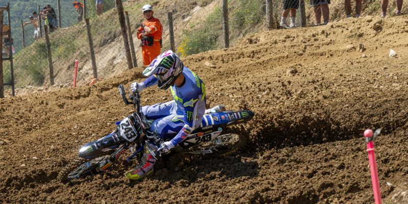 907-16-gajser2.jpg
