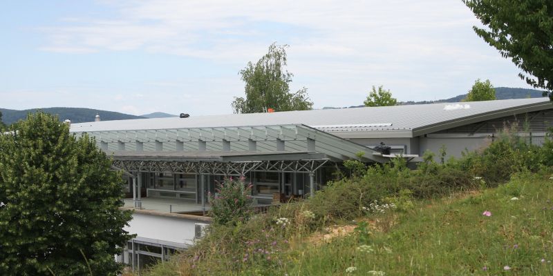 streha-os-drska