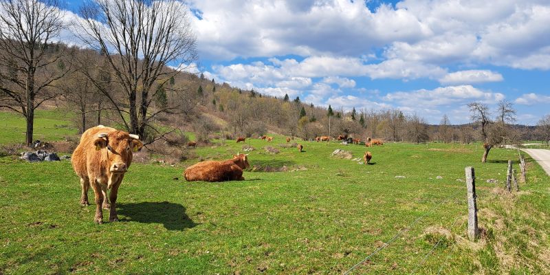 Sklad kmetijskih zemljišč in gozdov